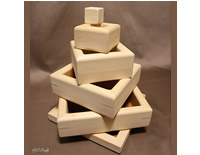 遊べる飾れる升セット